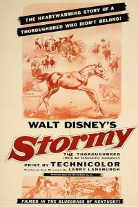 Stormy, the Thoroughbred