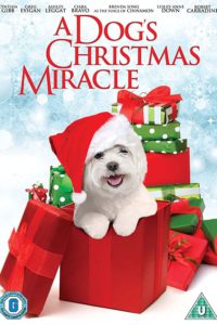 My Dog’s Christmas Miracle